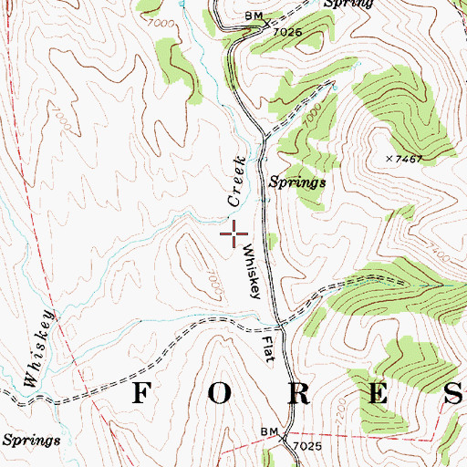Topographic Map of Whiskey Flat, ID