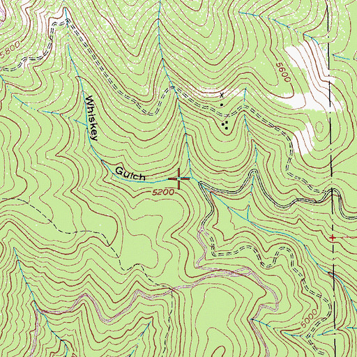 Topographic Map of Whiskey Gulch, ID