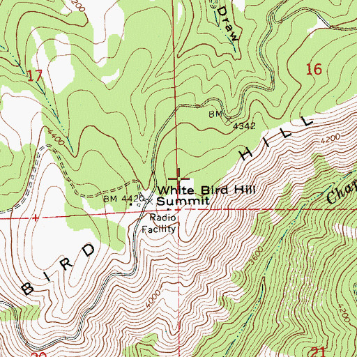 Topographic Map of White Bird Hill Summit, ID