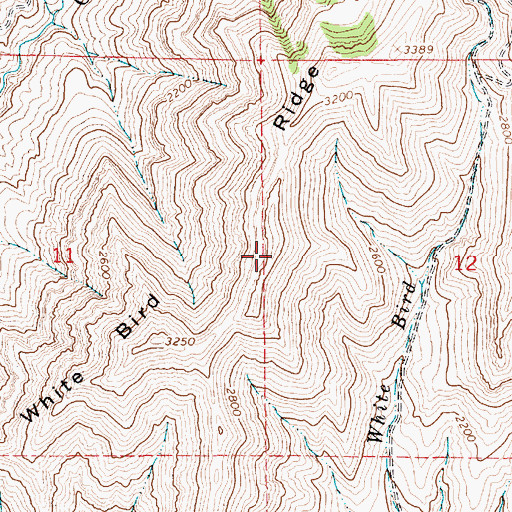 Topographic Map of White Bird Ridge, ID