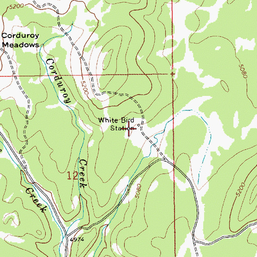 Topographic Map of White Bird Station, ID