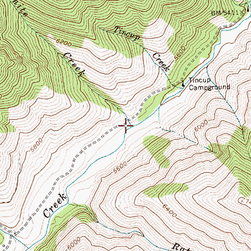 Topographic Map of White Creek, ID