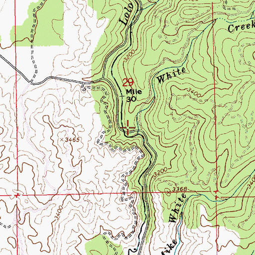 Topographic Map of White Creek, ID