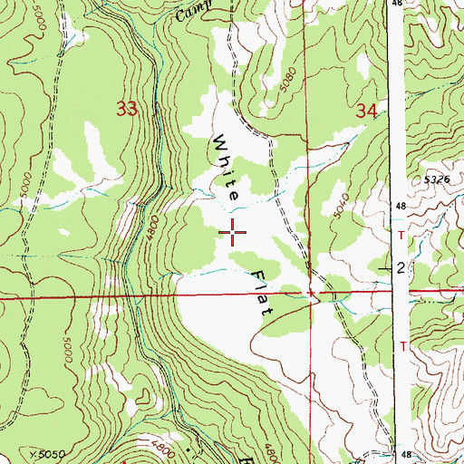 Topographic Map of White Flat, ID