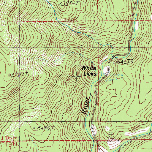 Topographic Map of White Licks, ID