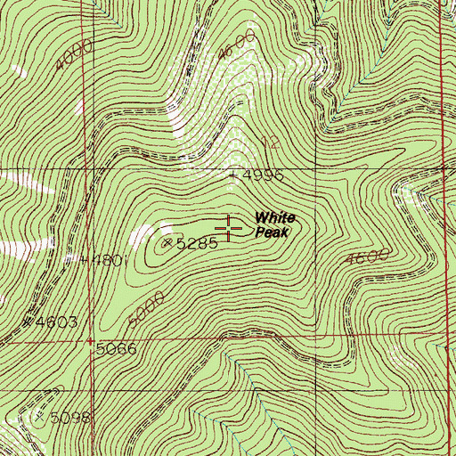 Topographic Map of White Peak, ID