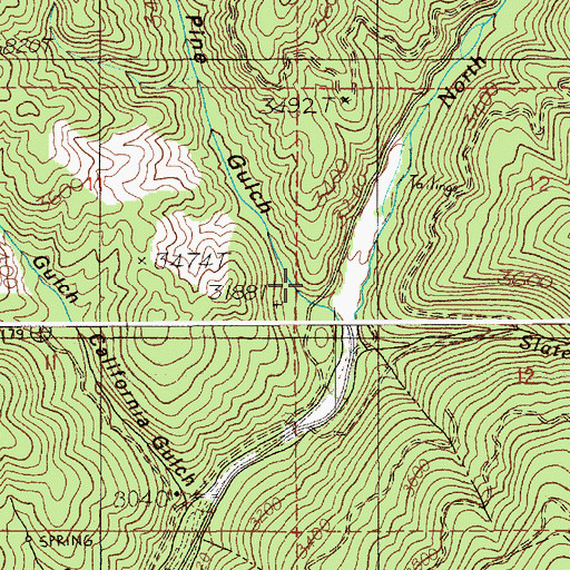 Topographic Map of White Pine Gulch, ID