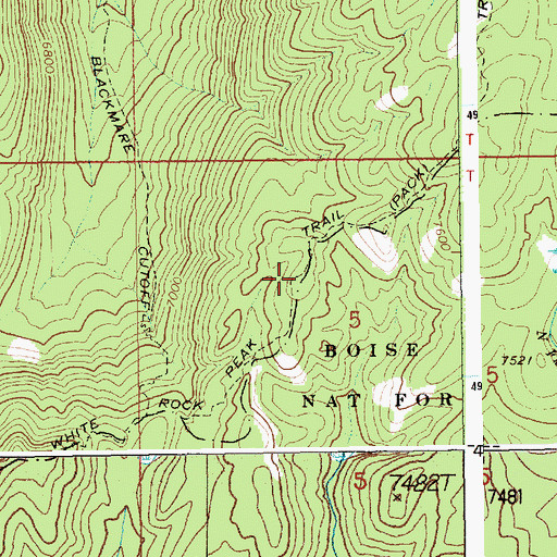 Topographic Map of White Rock Peak Trail, ID