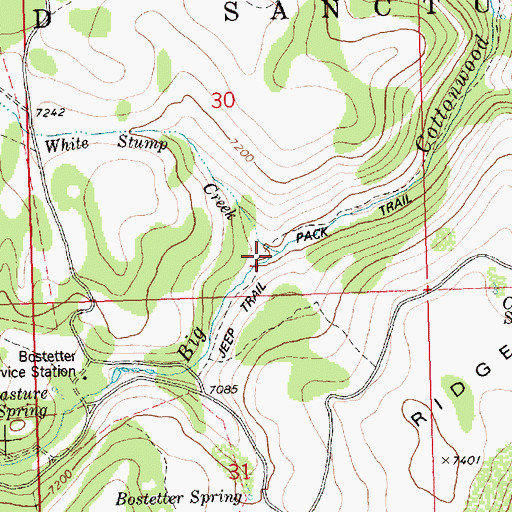 Topographic Map of White Stump Creek, ID