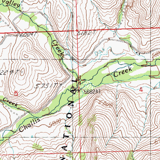 Topographic Map of White Valley Creek, ID