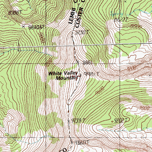 Topographic Map of White Valley Mountain, ID