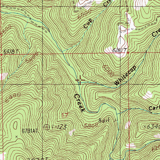 Topographic Map of Whitecap Creek, ID