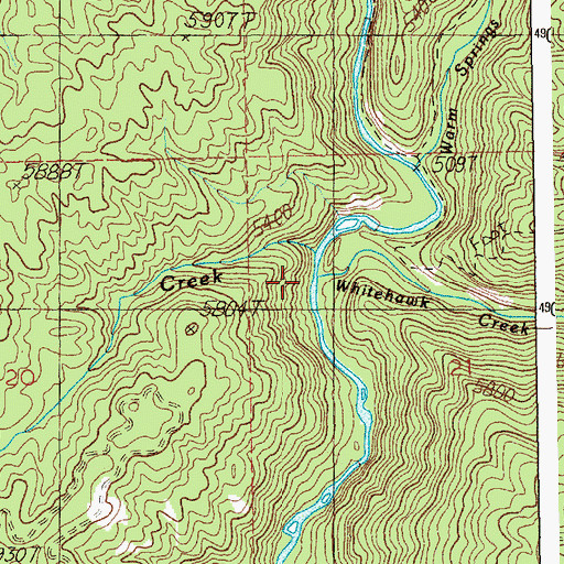 Topographic Map of Whitehawk Creek, ID