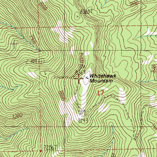 Topographic Map of Whitehawk Mountain, ID