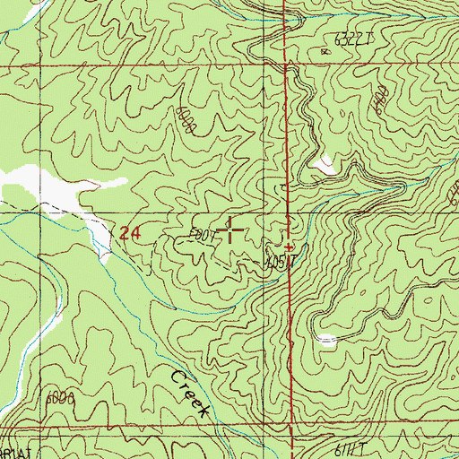 Topographic Map of Whitehawk Trail, ID