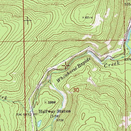 Topographic Map of Whitehorse Rapids, ID