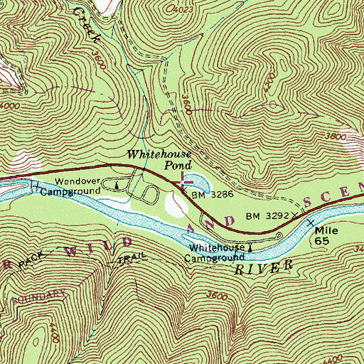 Topographic Map of Whitehouse Pond, ID