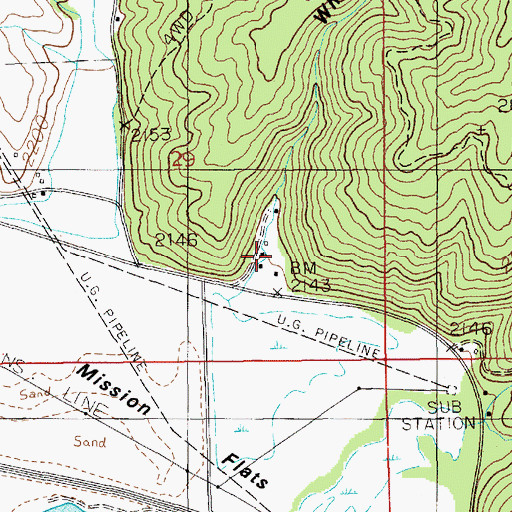 Topographic Map of Whiteman Draw, ID