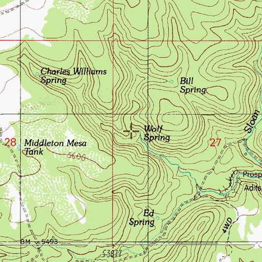 Topographic Map of Charles Williams Spring, AZ