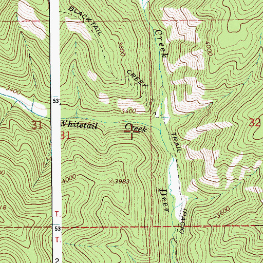 Topographic Map of Whitetail Creek, ID
