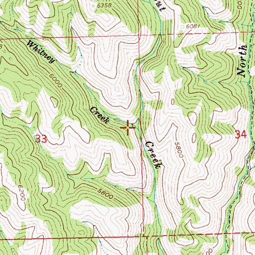 Topographic Map of Whitney Creek, ID