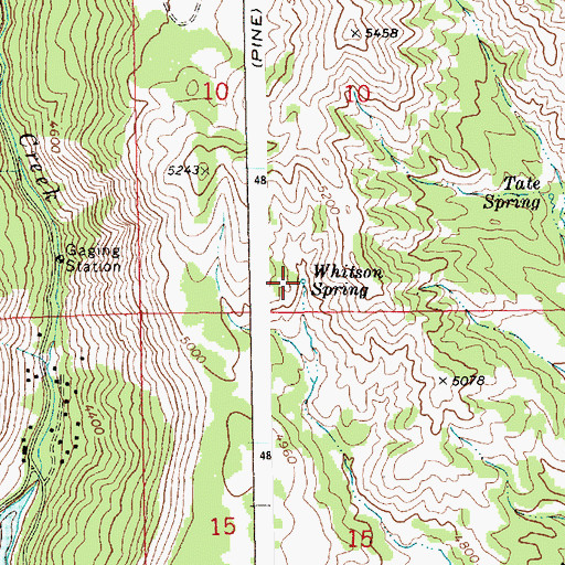 Topographic Map of Whitson Spring, ID