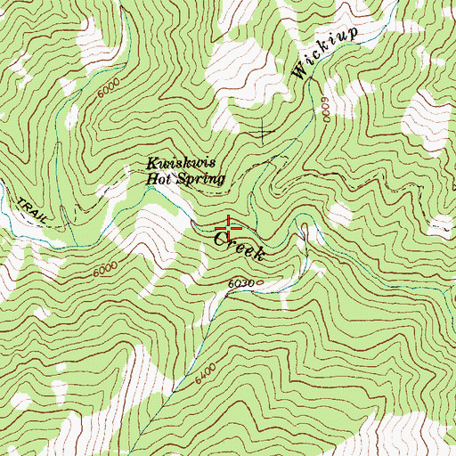 Topographic Map of Wickiup Creek, ID
