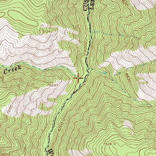 Topographic Map of Wickiup Creek, ID