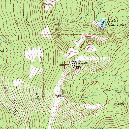 Topographic Map of Widow Mountain, ID