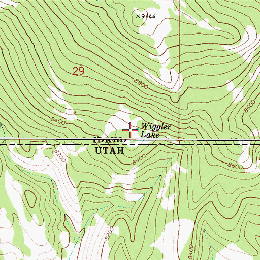 Topographic Map of Wiggler Lake, ID