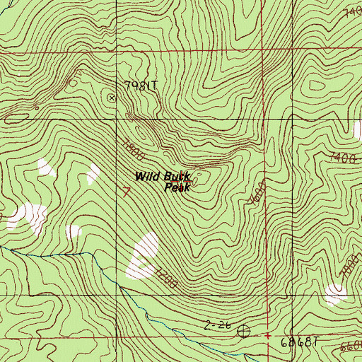 Topographic Map of Wild Buck Peak, ID