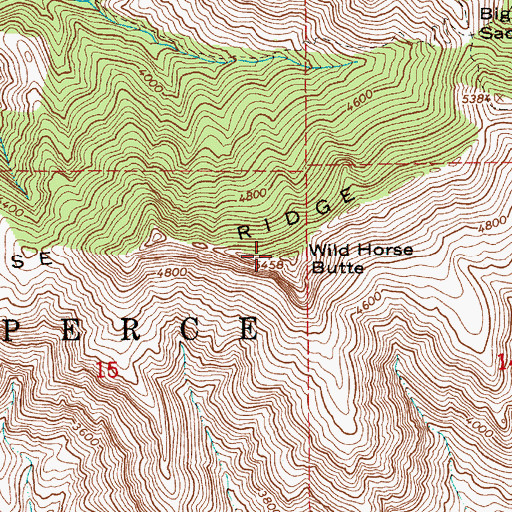 Topographic Map of Wild Horse Butte, ID