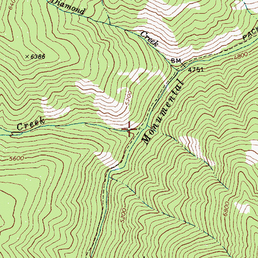 Topographic Map of Wild Horse Creek, ID