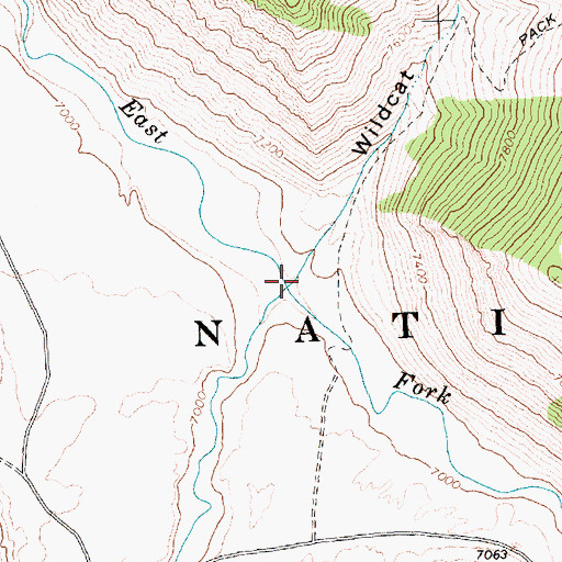 Topographic Map of Wildcat Canyon, ID