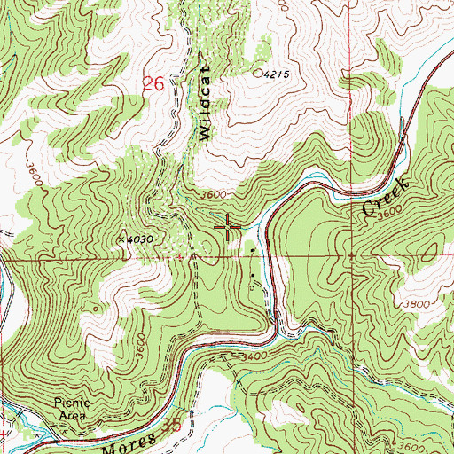 Topographic Map of Wildcat Gulch, ID