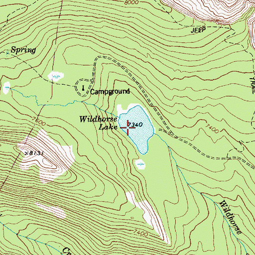 Topographic Map of Wildhorse Lake, ID