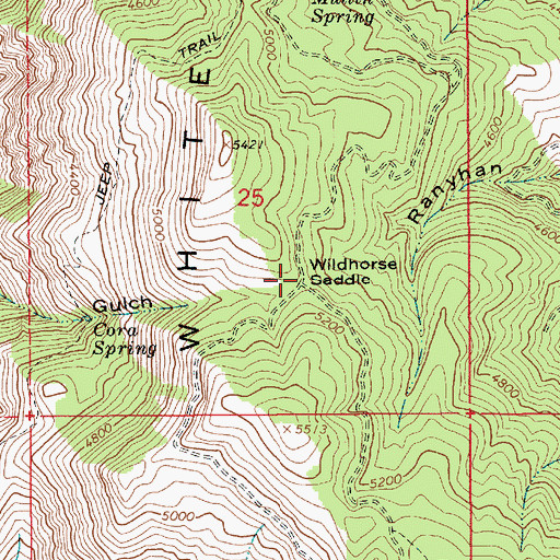 Topographic Map of Wildhorse Saddle, ID