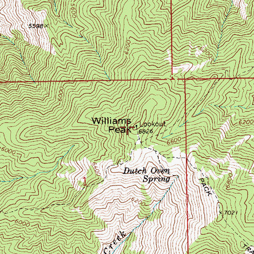Topographic Map of Williams Peak, ID