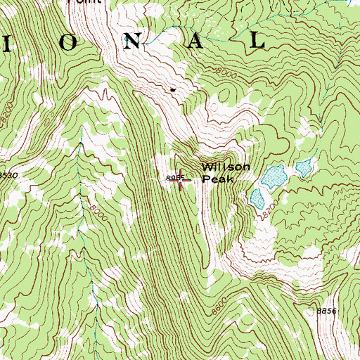 Topographic Map of Willson Peak, ID