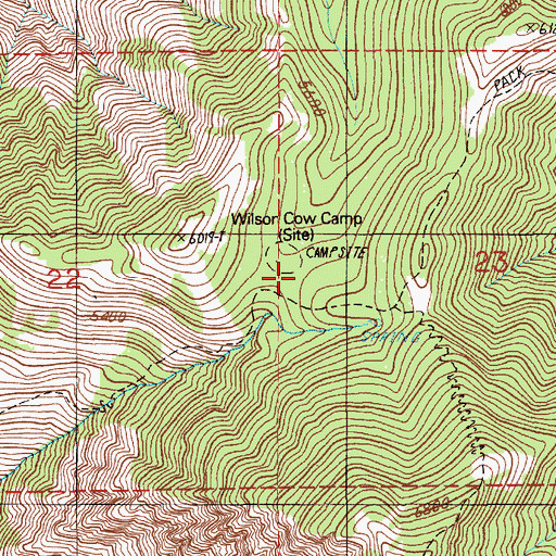 Topographic Map of Wilson Cow Camp, ID