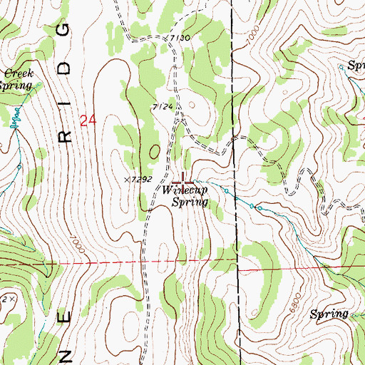 Topographic Map of Winecup Spring, ID