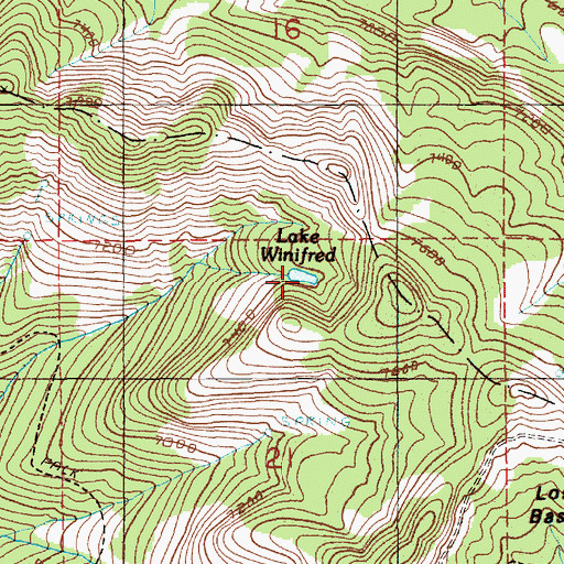 Topographic Map of Lake Winifred, ID