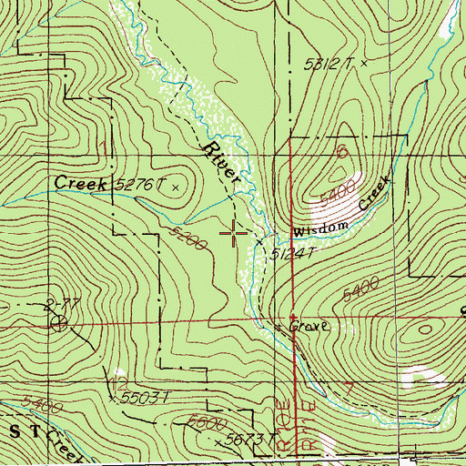Topographic Map of Wisdom Creek, ID