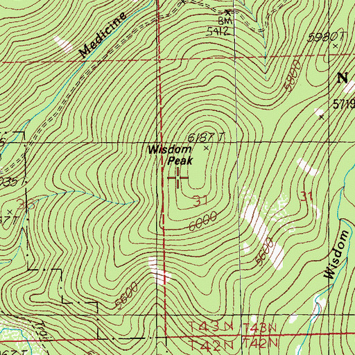 Topographic Map of Wisdom Peak, ID
