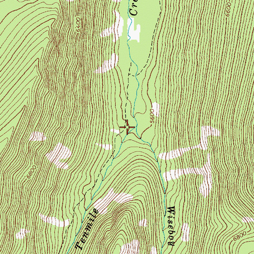 Topographic Map of Wiseboy Creek, ID