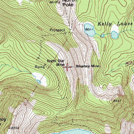 Topographic Map of Wiseboy Mine, ID