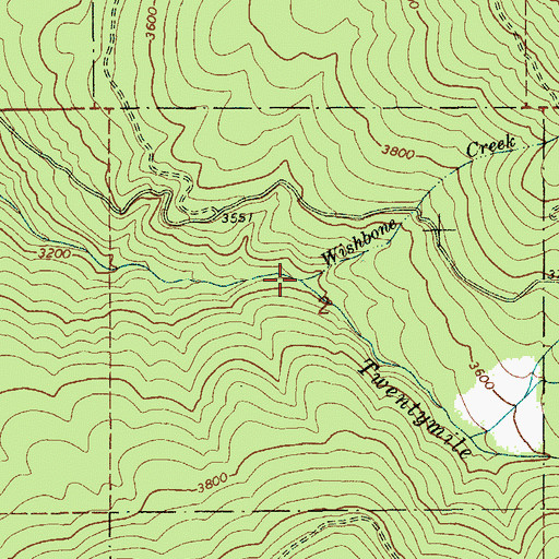 Topographic Map of Wishbone Creek, ID