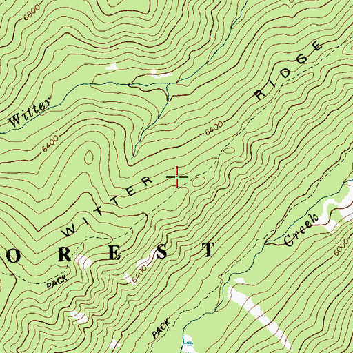 Topographic Map of Witter Ridge, ID