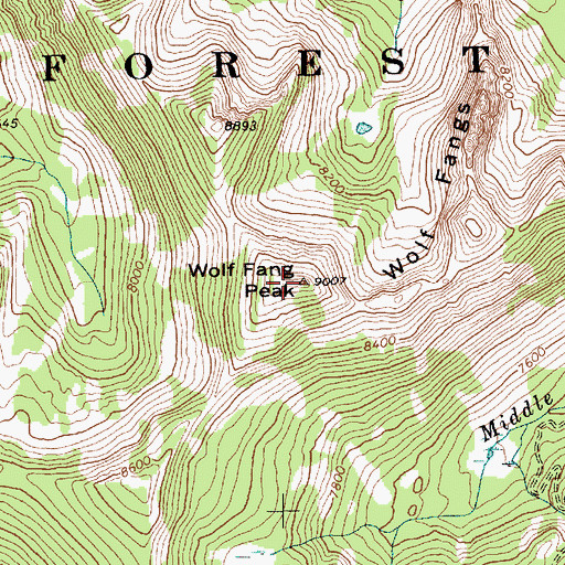 Topographic Map of Wolf Fang Peak, ID
