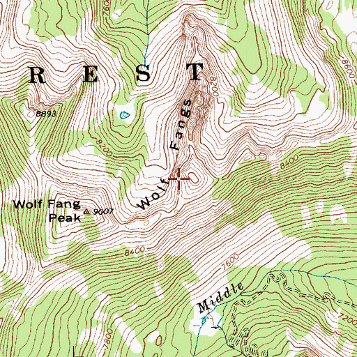 Topographic Map of Wolf Fangs, ID